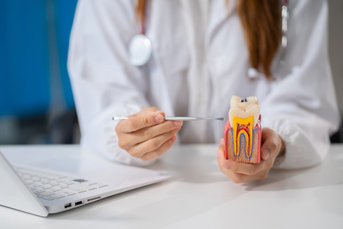root canal therapy in Pflugerville root canal therapy in Pflugerville